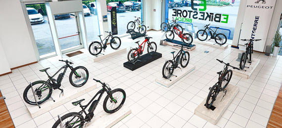Show Room