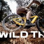 Wild TR 2027