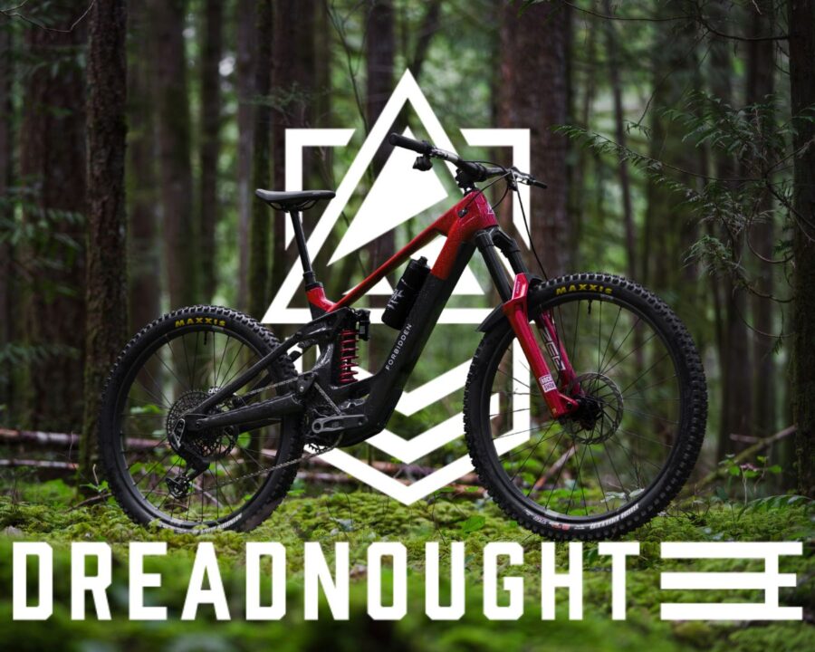 IMM. EVIDENZA BLOG DEF. 21