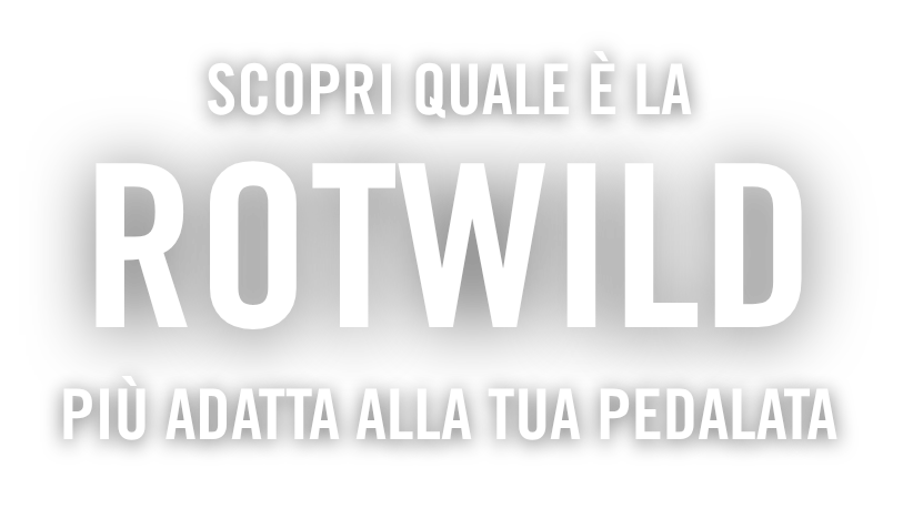 EBIKESTORE DISTRIBUTORE ROTWILD PC
