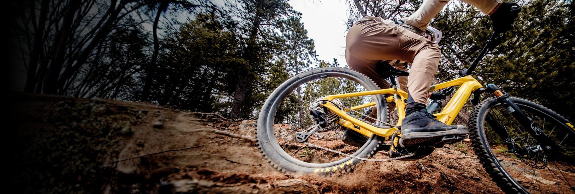Rider Orbea Wild TR