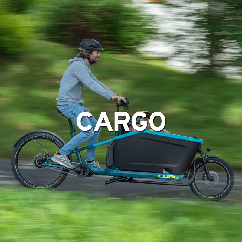 Tipo-ebike-big-05